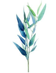 Watercolor painting on white background-Hand drawn watercolor illustrations, Botanical clipart, Floral Design elements, Watercolor Painting, Drawing - Activity, Painted Image, Watercolor Paints,