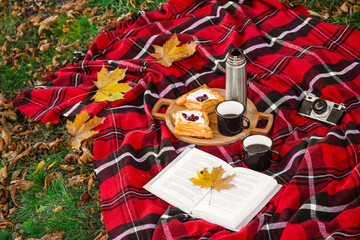 Naklejka na ściany i meble Thermos with cups, food, book, photo camera and autumn leaves on plaid in park