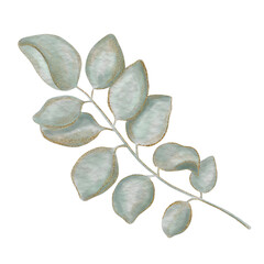 Eucalyptus branch. Watercolor isolated green eucalyptus branch with golden decoration on green leaves. Botanical concept.