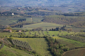Landscape around San Gimignano in spring, Tuscany Italy
