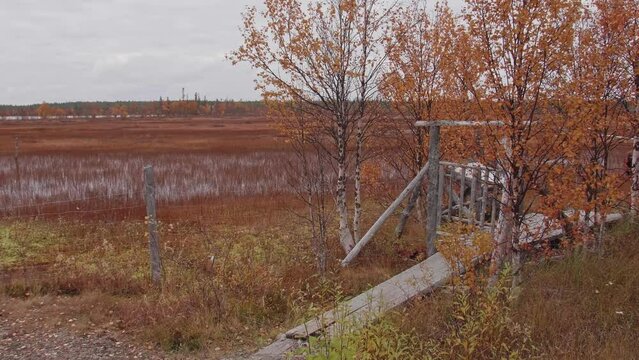 A bird path in Ilmakkiaapa nature protection area in Finland