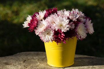 bouquet of chrysanthemums