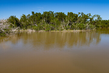 Florida Everglades