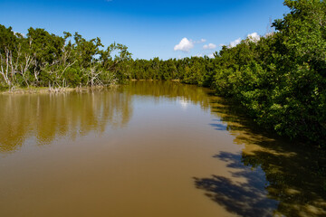 Florida Everglades