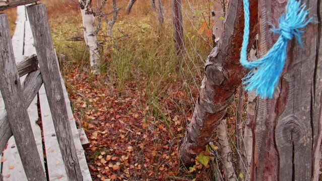 A bird path in Ilmakkiaapa nature protection area in Finland