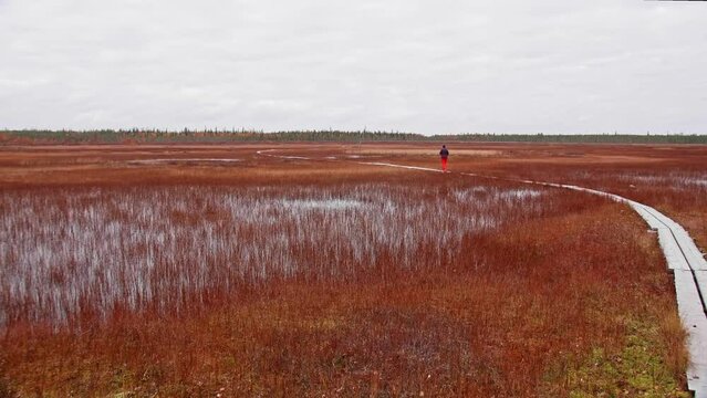 A bird path in Ilmakkiaapa nature protection area in Finland