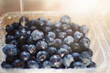 Fresh blueberries