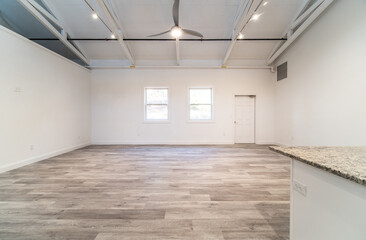 Vaulted ceiling room 
