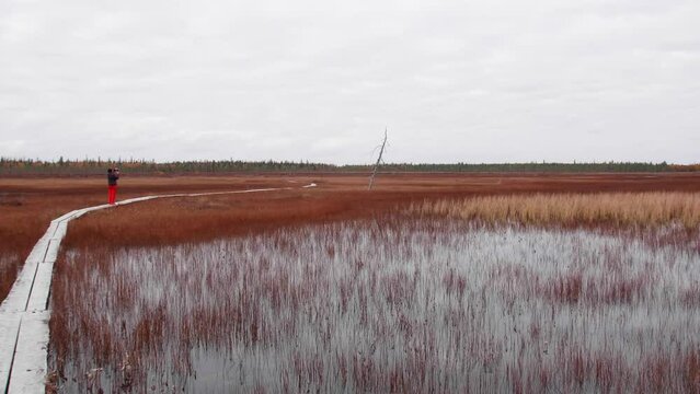 A bird path in Ilmakkiaapa nature protection area in Finland