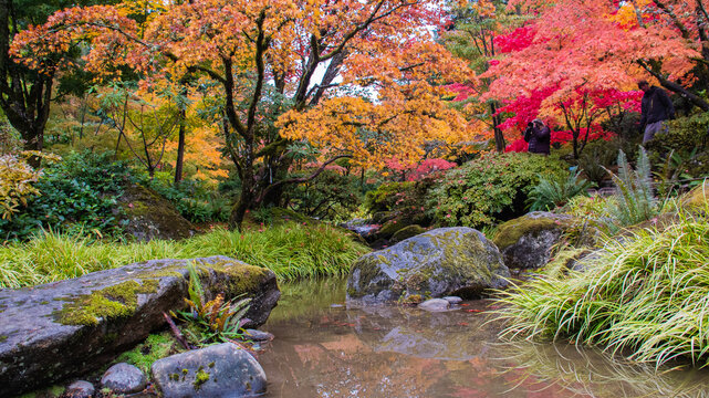 Washington Park Arboretum JApanese Garden, Seattle, Washington