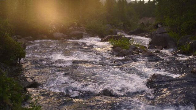 The swift and indomitable flow of a mountain river.