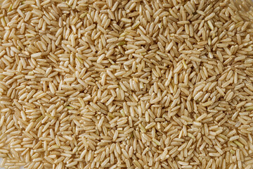 raw unpolished rice on a white acrylic background