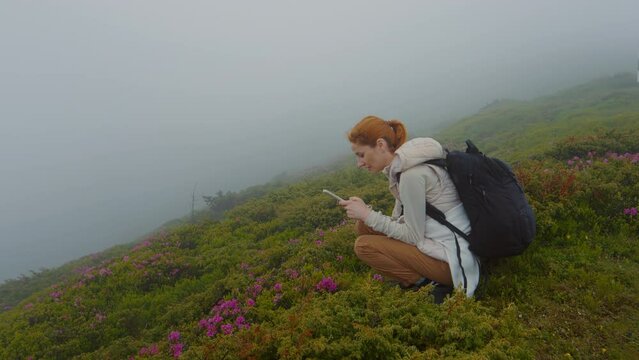 Woman with backpack teke a picture the road during heavy fog. Girl in a rhododendron field walks along a mountain road in rainy weather. Traveling concept.