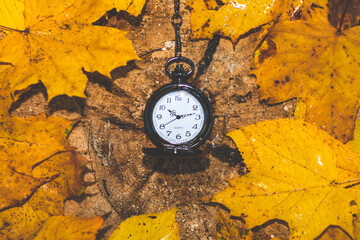 zegarek kieszonkowy na tle drewna i jesiennych liści - obrazy, fototapety, plakaty