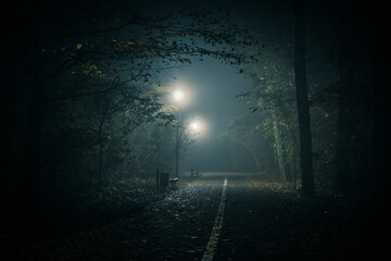 gęsta mgła na drodze w ciemnym parku nocą - obrazy, fototapety, plakaty