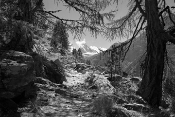 The Matterhorn peak over the Mattertal valley in Walliser aslps from Europaweg tour.