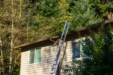 Aluminum extension ladder propped up against the roof of an apartment building, sunny fall day

