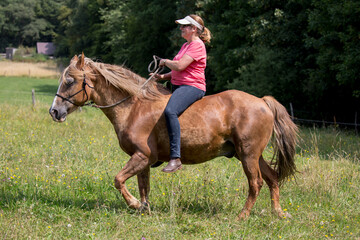 Reiterin mit Pferd