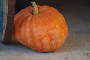 large orange pumpkin lying on the background near cartwheel
