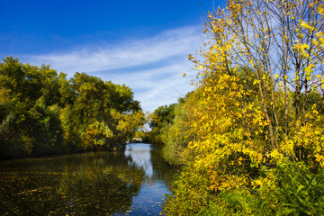 a small river and trees with yellow leaves on the banks as well as fallen leaves in the water during the day in autumn in Ukraine in Europe