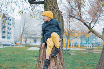 The boy climbed in and sat in a tree. In the background is a children's playground.