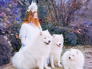 redhead (ginger) beautiful young girl (snow princess) in long white dress with three samoyeds outdoor
