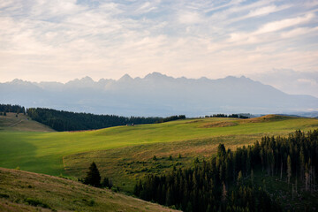 High Tatras from Panska Hola, Low Tatras National Park Slovakia.Green meadows and mountains in the background. © Filip