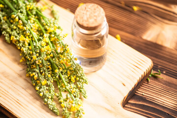 Flat lay composition with herbal essential oil and Verbascum nigrum, black mullein or dark mullein