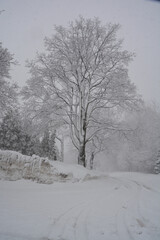 Fototapeta na wymiar Winter landscape after a snow storm north america Quebec Canada