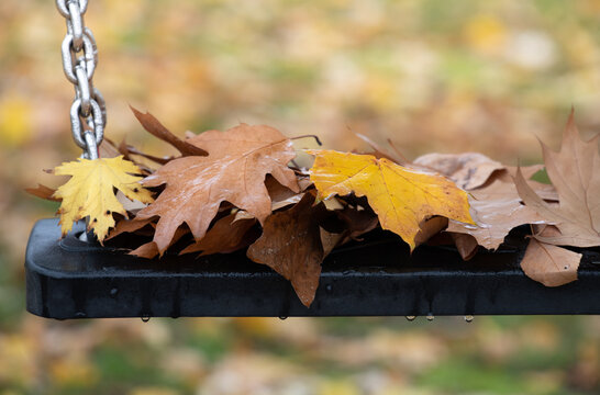 Close-up of a child's swing seat covered in wet leaves. There are leaves on the meadow in the background. There are drops of water on the swing.