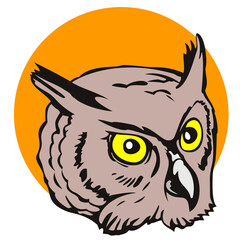 Owl Head