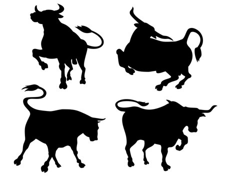 Cattle Silhouettes