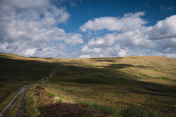 Hikers in the Landscape