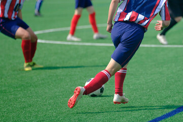 Fototapeta premium サッカー