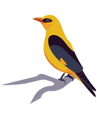 Golden Eurasian oriole bird sits on a branch clutching the trunk with its paws
