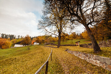 Fototapeta na wymiar Colourful autumn in Kaliste village, Slovakia near Banska Bystrica.