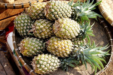 pineapples on a bamboo tray with sunlight from the side