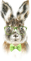 Watercolor bunny illustration, rabbit hare drawing, detailed realistic animal portrait,head,face. Easter bunny character with flowers,glasses,beads ,pin up look, easter egg hunt greeting card, poster