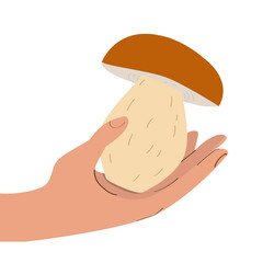 Obraz premium White mushroom in hand. Vector illustration in flat style. A beautiful and large porcini mushroom. Mushroom on a human palm. Autumn theme. Finding in the forest. Banner, print.