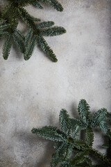 Christmas frame on the background of the Christmas tree, New Year theme.
