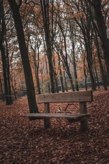 bench in the park