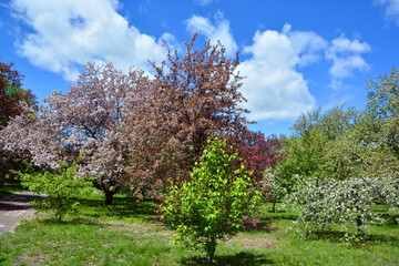 Spring landscape Montreal Quebec province Canada