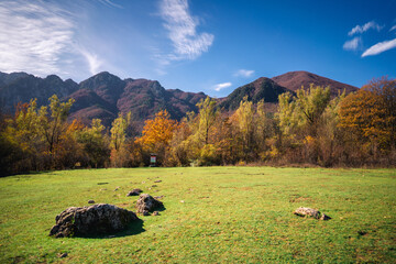 Fototapeta premium colorful autumn foliage Parco Nazionale Abruzzo Italy
