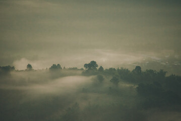Travel on the top of the mountain in the morning.
