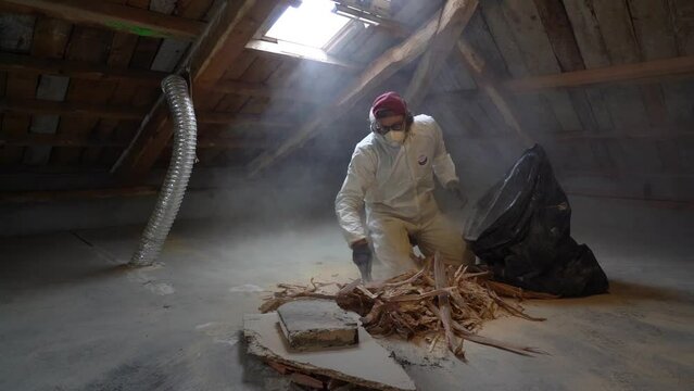 Person Wearing Overall Place Dead Woods in Garbage Bag From Renovation