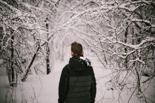 Boy walks into forest in snow storm with white wonderland