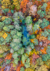 Naklejka premium Pond in the park in autumn colors - Pabianice - Poland