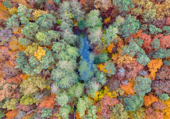 Fototapeta na wymiar Pond in the park in autumn colors - Pabianice - Poland