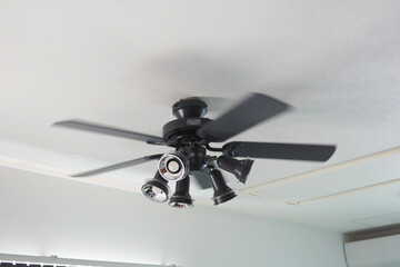 シーリングファン・天井照明
