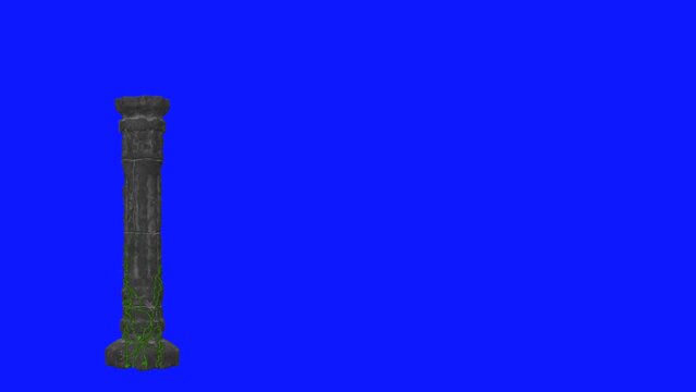 Leafy crawling vine on pillar blue screen